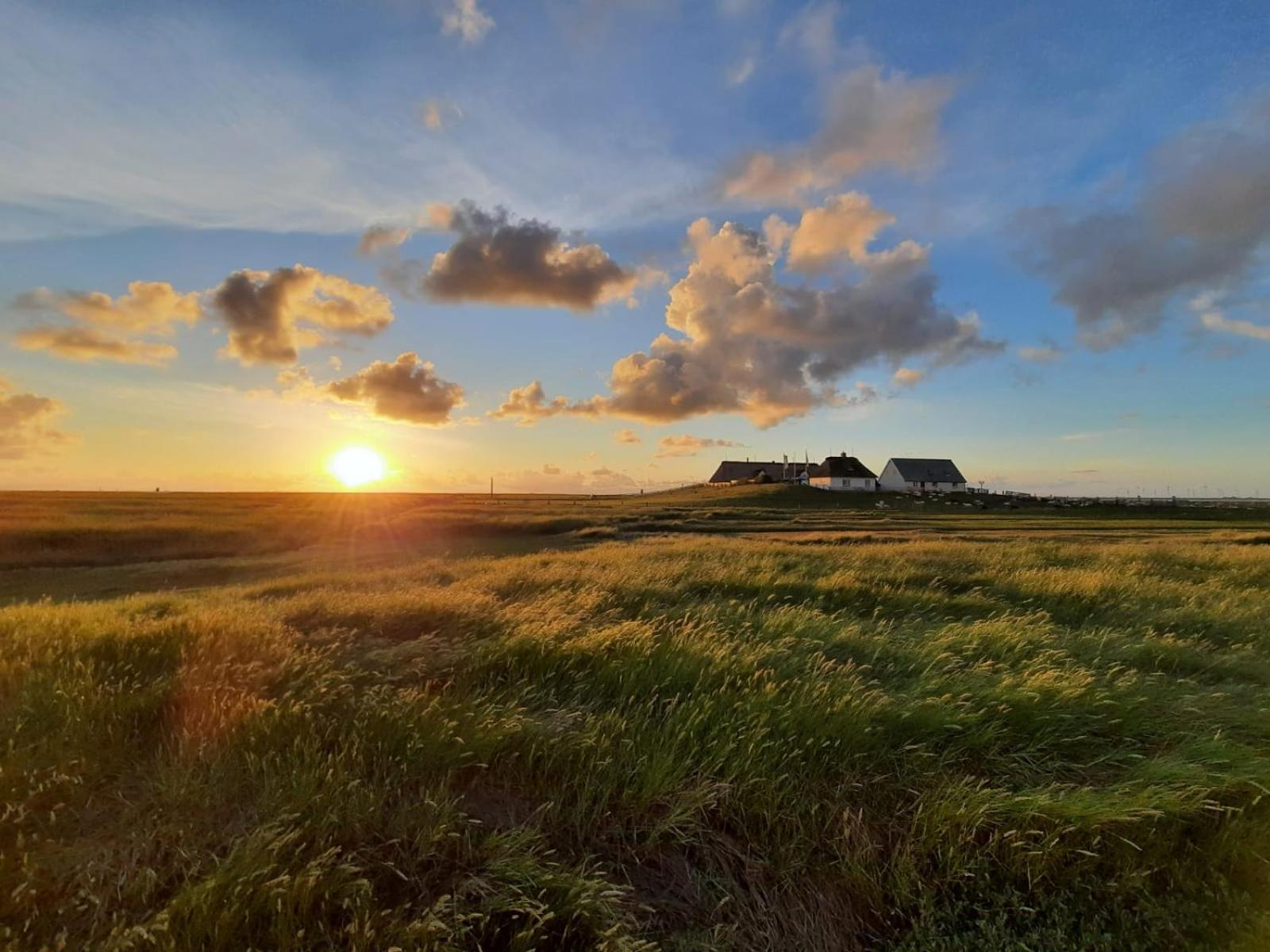 Nordsee Bauernhof Familie Wulff Fewo "Suedfall" Reußenköge Εξωτερικό φωτογραφία