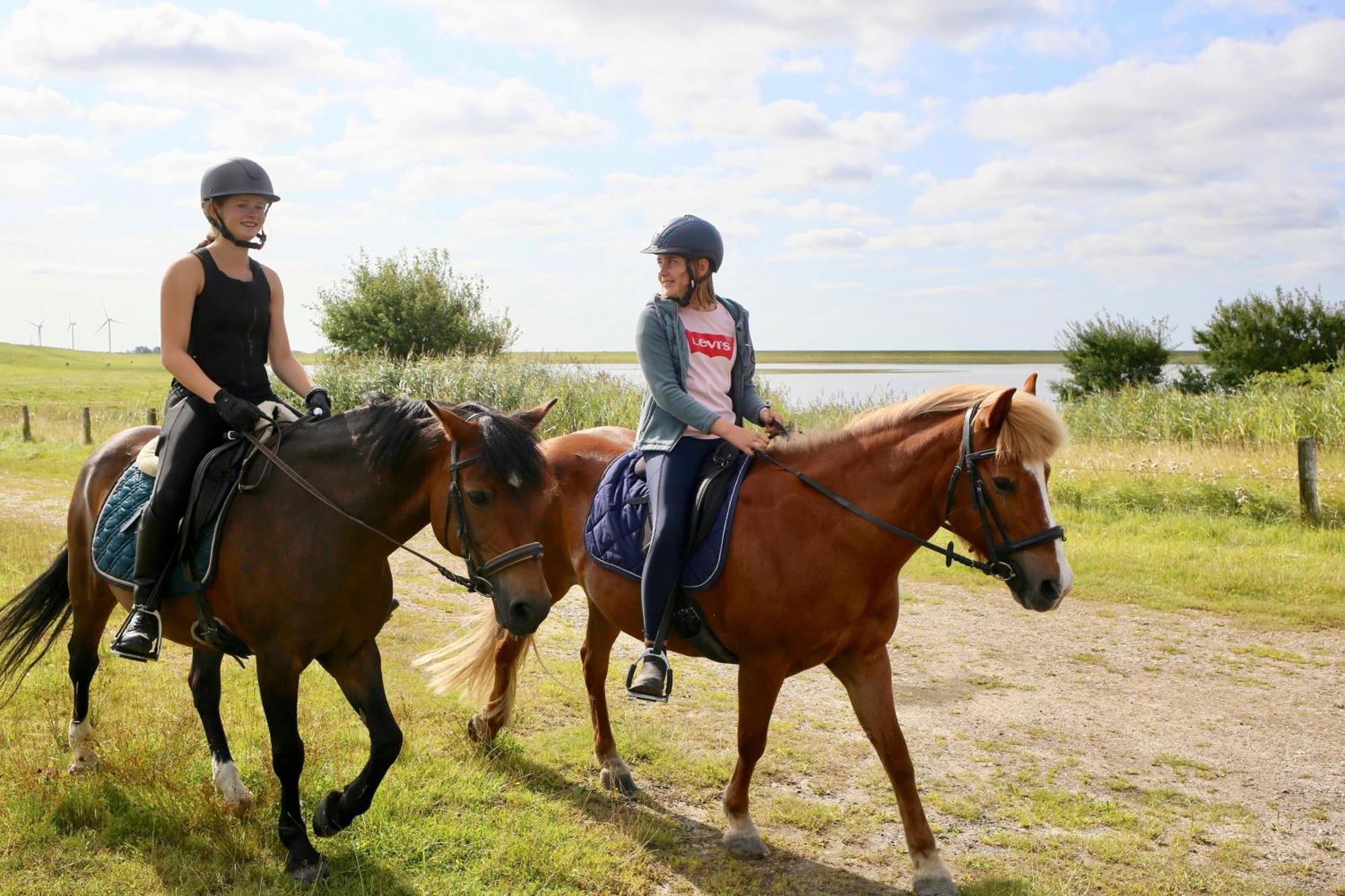 Nordsee Bauernhof Familie Wulff Fewo "Suedfall" Reußenköge Εξωτερικό φωτογραφία